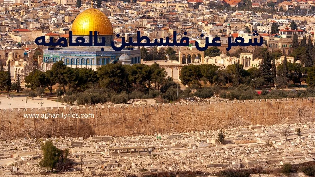 شعر عن فلسطين بالعاميه